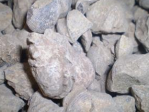 ��ҩ���� ��ζ������