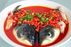 ����ʳ��ҩ�ŷ���ѡ