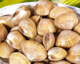 ����ʳ�Ʒ���ѡ