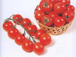 ���䷬�ѵ�Ӫ����ֵ