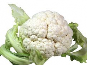 ���ڲ˻��ļ���С֪ʶ