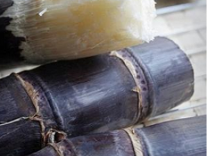 �����Ӫ����ֵ����Щ