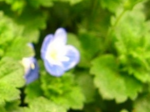 ���������ɵĹ�Ч������