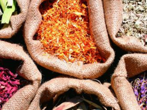 �����ðҪע�����Ƚ���