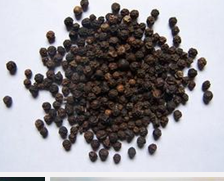 ����ʳ�Ʒ���ѡ