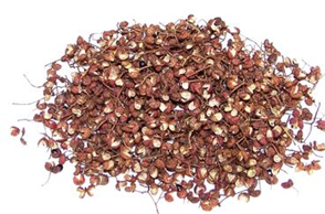 ������ͥʳ�Ʒ���ѡ