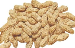 ����ʳ�Ʒ���ѡ