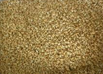 Ŵ��ʳ�Ʒ���ѡ