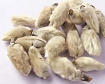 ���ĵ���ҩ����