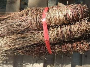 Ϫ�Ʋݵ�ʳ�ý���