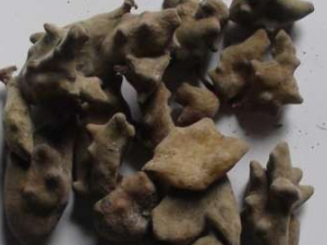 �屶�ӵ�ʳ�ý���