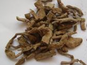 �Ϻӳ���ҩ����