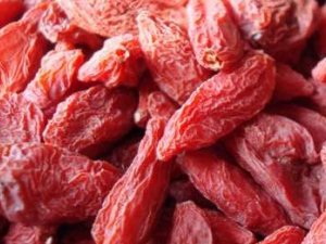 ����ӵ�ʳ�ý���