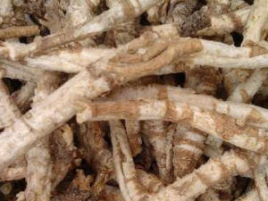 ��ɳ�ε�ʹ�ý���