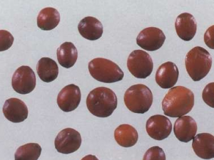 �����ʵ�ʹ�ý���