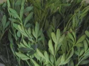 ���ݵĹ�Ч������