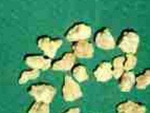 �������������͵��丹��ʹ