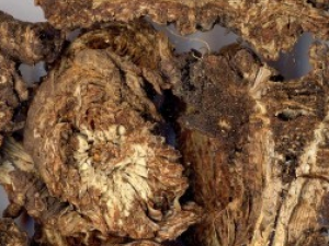 Ǽ��Ŀ�����ʧ������