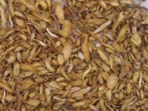 �����ܷ�������ֹ��