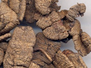 �����Ľ�ѹ����