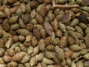 �Զ����������Ա���