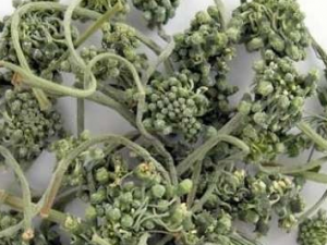 �˲λ�����Щ��Ч������