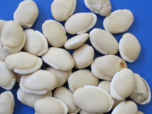 �ױⶹ�Ĺ�Ч������