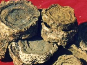 ��Ƶ���ҩ����