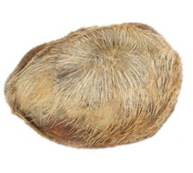 �����������������ЩΣ��