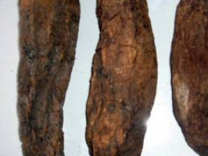 �����в����󳦵�����