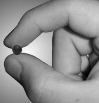 ���ǵ� ��ҩ��ȫ