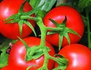 ���ѹ�Ч������