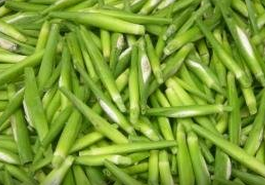 �������׵Ĺ�Ч������