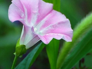 �������Ĺ�Ч������