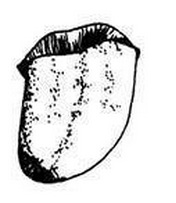 ��ҽ�������������ҩ�� ��ҽ����