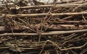 ����µĹ�Ч������