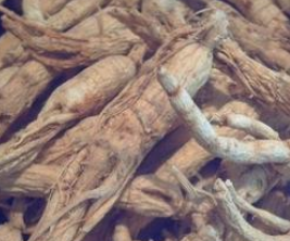 �˲οɢ ��ҩ��ȫ