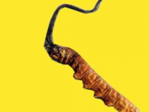 �������ö����Ĳ�  �����Ĳ���ˮ�������ʵ�