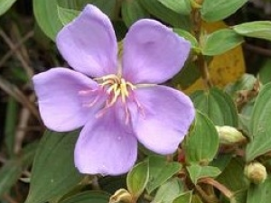 �����Ӹ��Ĺ�Ч������