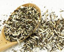 �ݹ�Ƣθ��ʪ��ҩ ��ҩ����