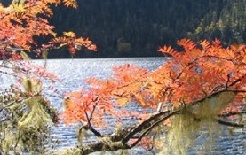 ��Ƥ���ܵĹ�Ч������