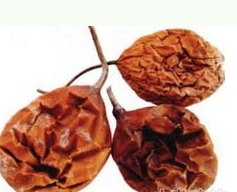 ���� ��ҩ��ȫ