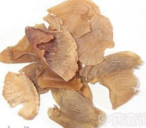 ���ڽ� ��ҩ��ȫ