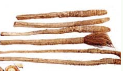 ���� ��ҩ��ȫ