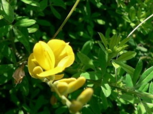 ��ȸ���Ĺ�Ч������