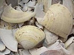 ����ǵĹ�Ч�����ü�����ע��