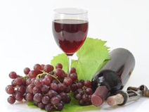 ������������סӪ��