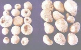 ˮ���� ��ҩ��ȫ