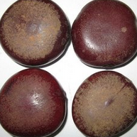 �}���� ��ҩ��ȫ