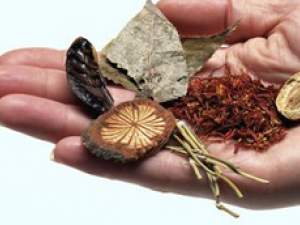 ����Ѫ�ܼ�����ʳ����